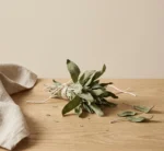 Dried sage bundle tied with cotton string on warm beige surface in soft natural light
