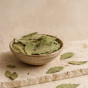 Dried bay leaves presented in a handcrafted ceramic bowl on natural limestone in a refined pantry setting