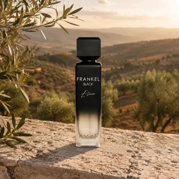 Assaf Frankel Black Elixir EDP for Men 200ml on Levantine stone overlooking olive groves and rolling countryside hills